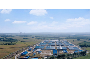 阜新雙匯牧業有限公司